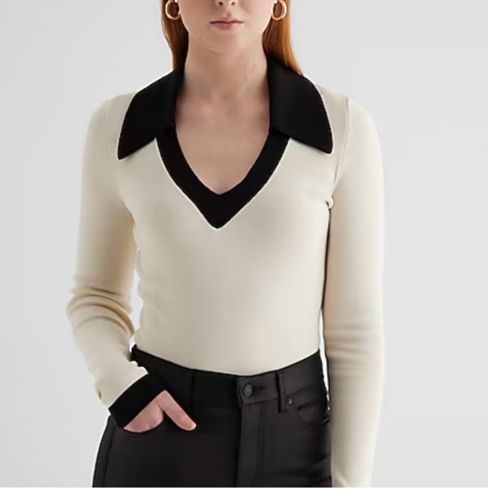 Express Colorblock Polo Sweater